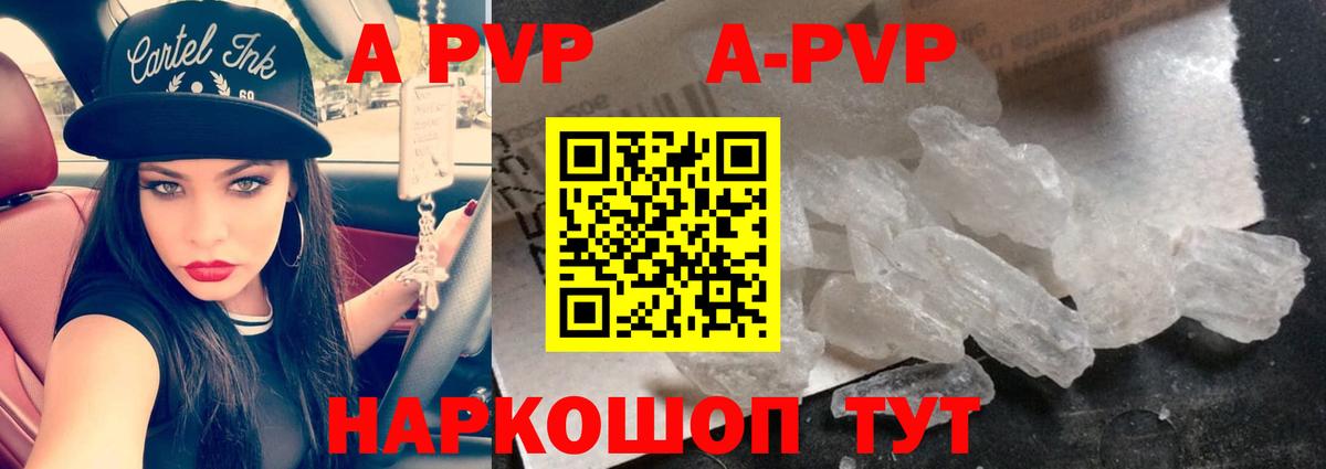 Alfa_PVP СК  А ПВП СК КРИС  Ноябрьск  A-PVP Соль  Вход с VPN 