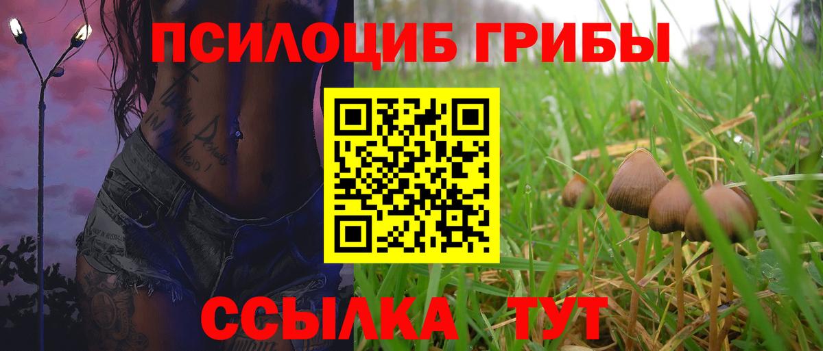 Псилоцибиновые грибы GOLDEN TEACHER Ноябрьск