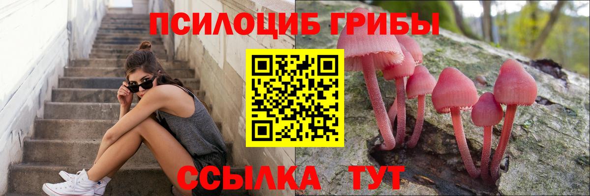 Псилоцибиновые грибы Psilocybine cubensis  Вход с VPN  Ноябрьск 